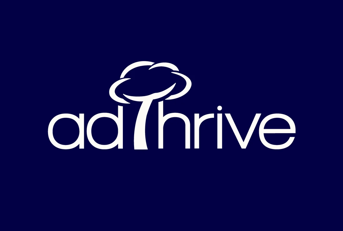 Visual for this record: Raptive's pageview floor hides a second, tighter traffic test